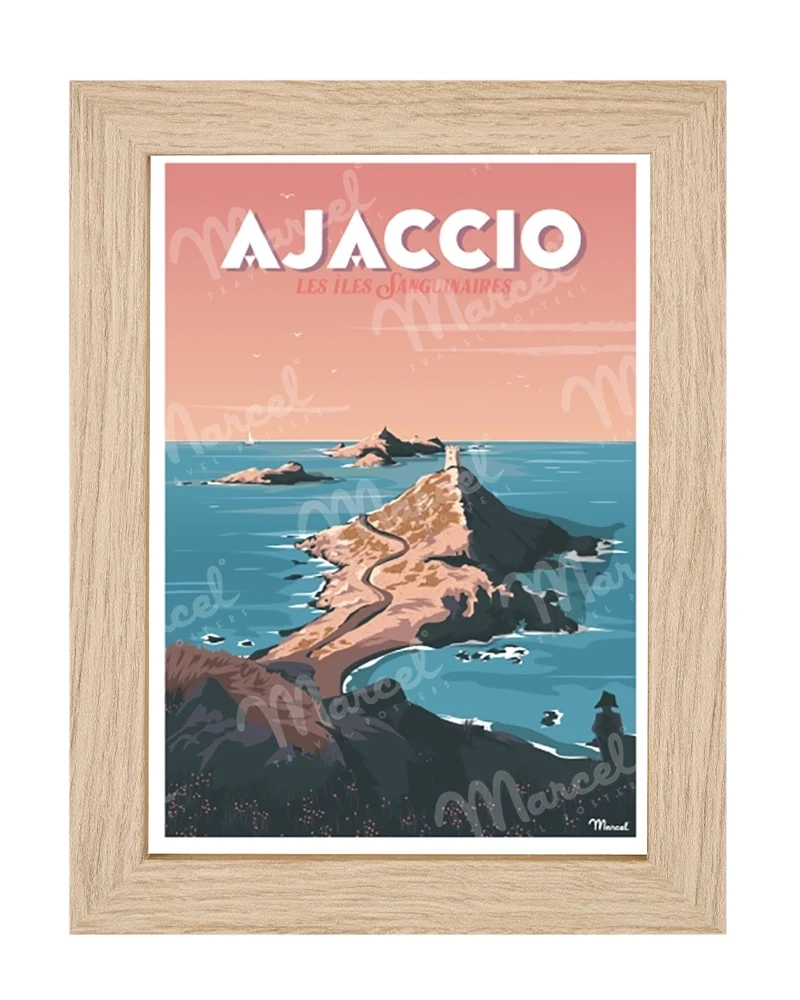 Carte Postale AJACCIO "Les Îles Sanguinaires"