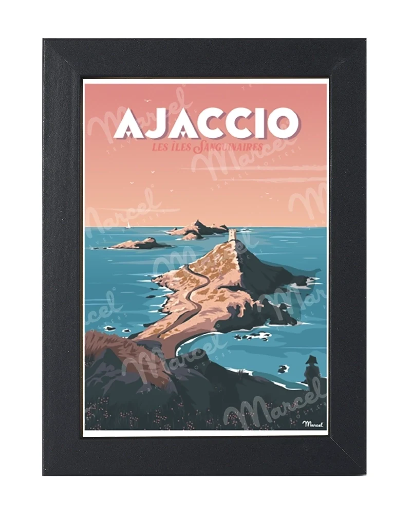 Carte Postale AJACCIO "Les Îles Sanguinaires"
