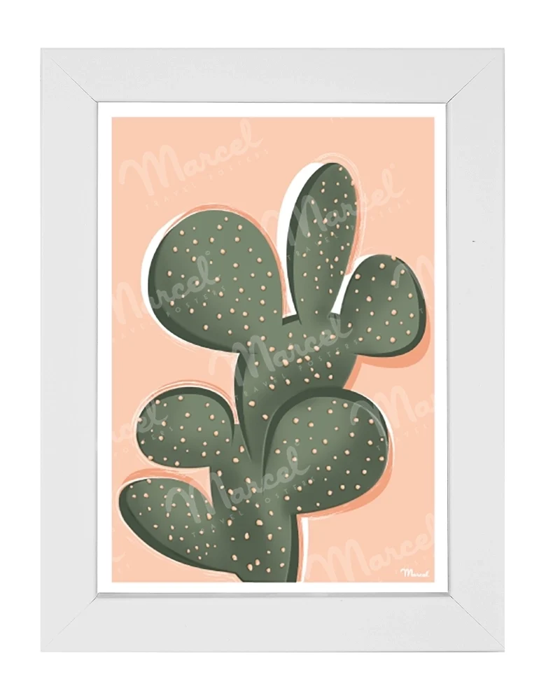 Carte Postale "Cactus"