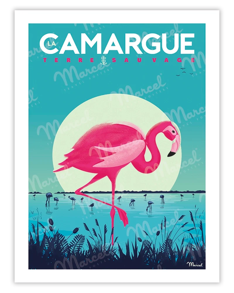 Affiche CAMARGUE "Flamingos"