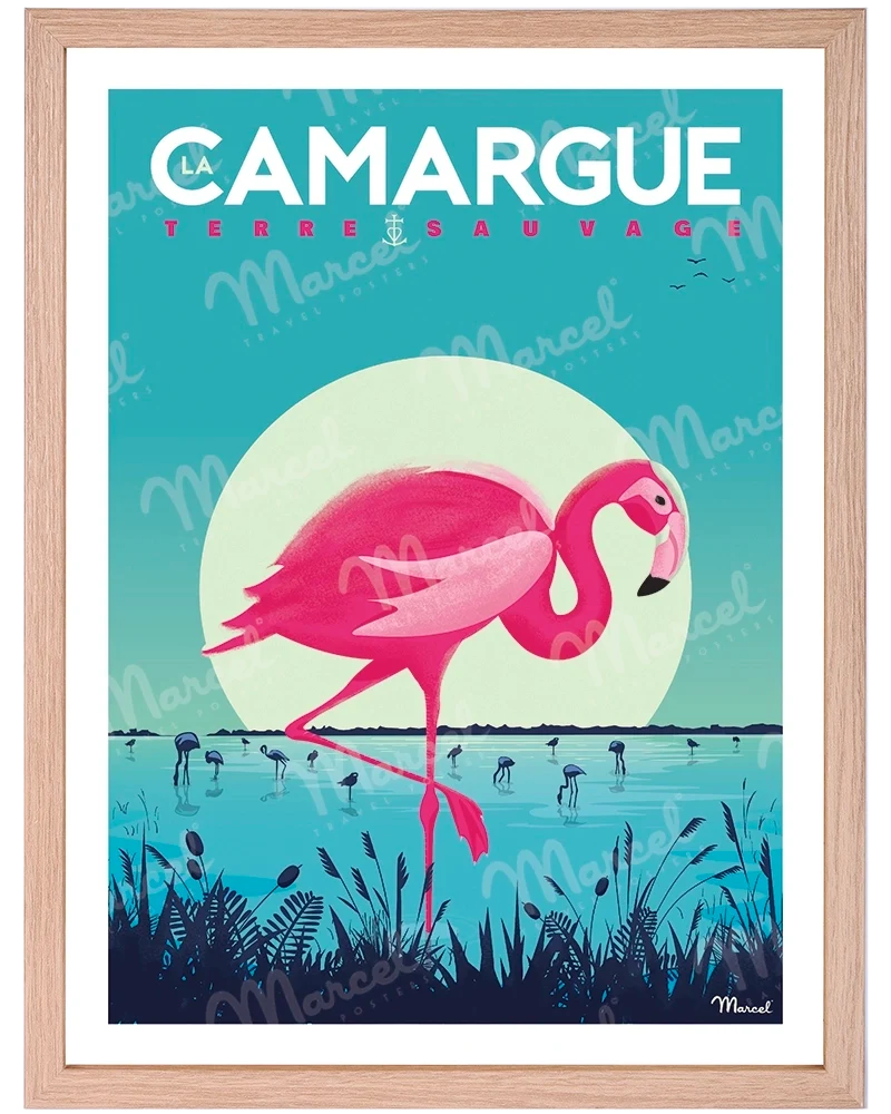 Affiche CAMARGUE "Flamingos"