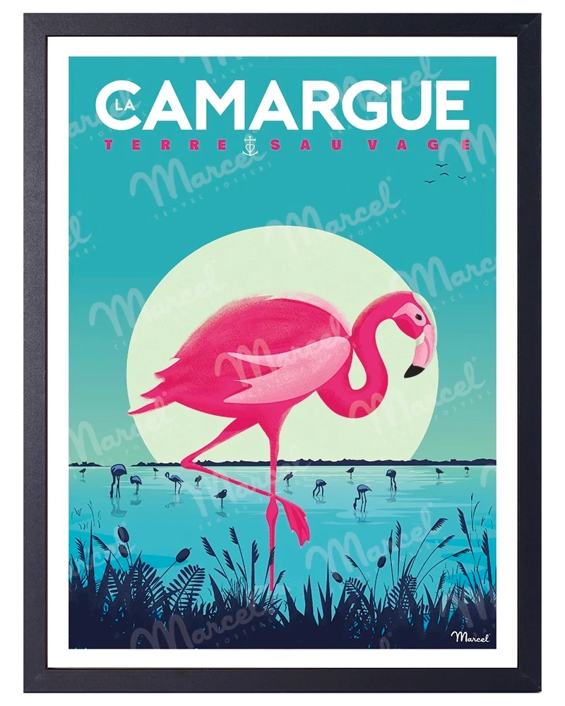 Affiche CAMARGUE "Flamingos"