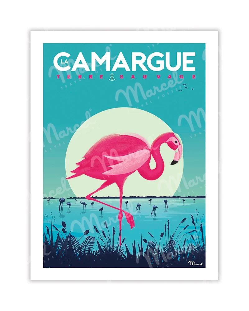 Carte Postale CAMARGUE "Flamingos"