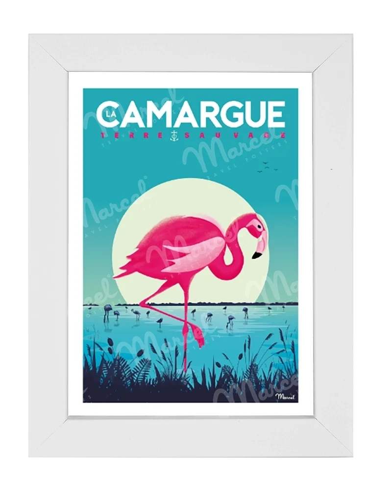 Carte Postale CAMARGUE "Flamingos"