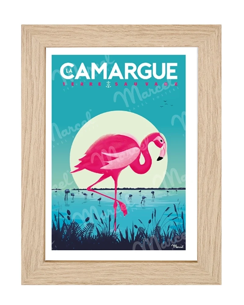 Carte Postale CAMARGUE "Flamingos"