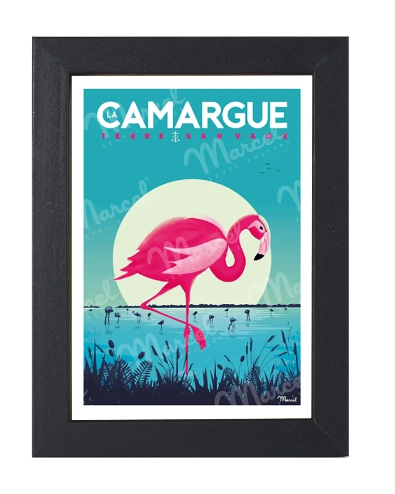 Carte Postale CAMARGUE "Flamingos"