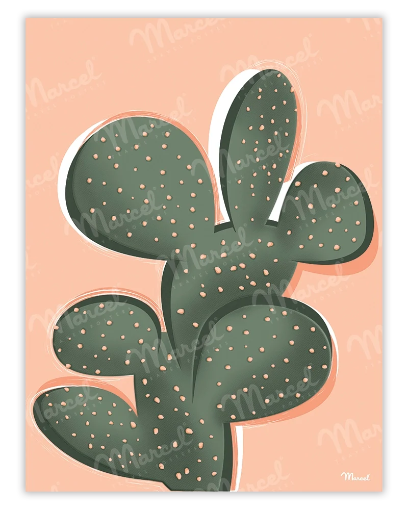 Affiche "Cactus"
