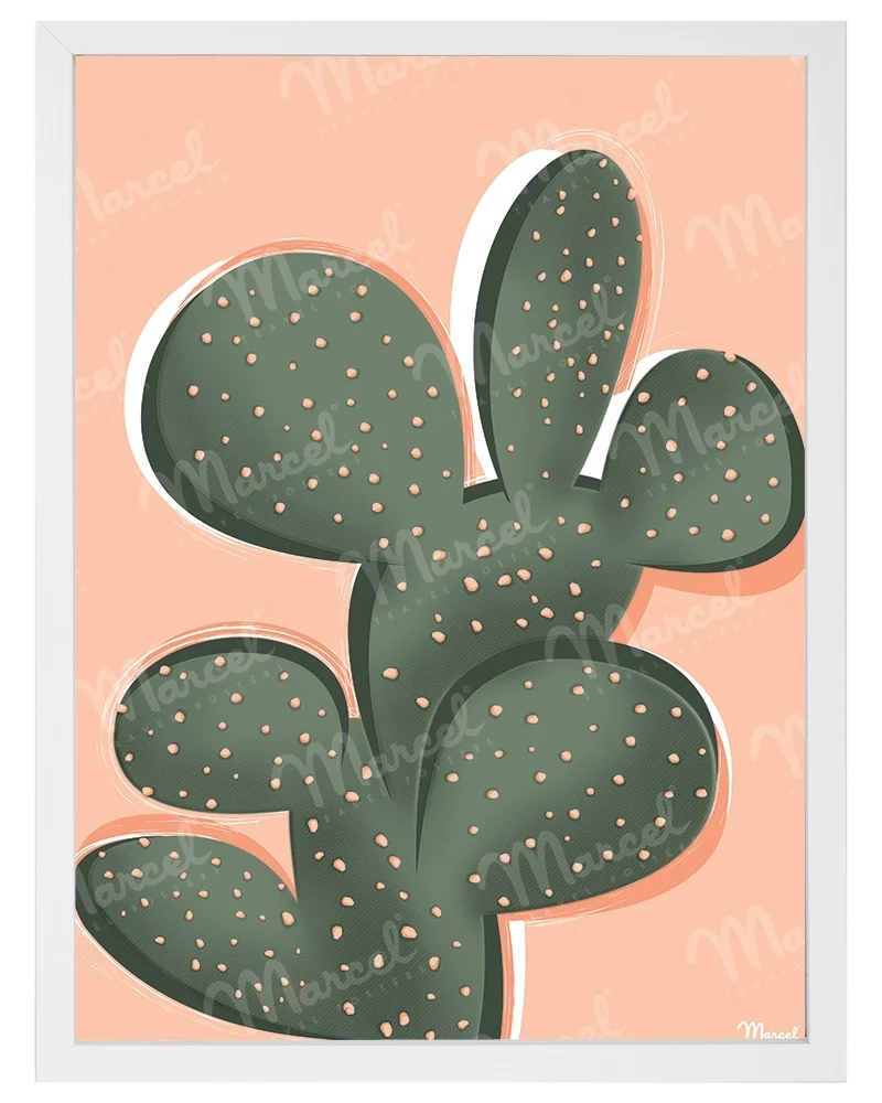 Affiche "Cactus"