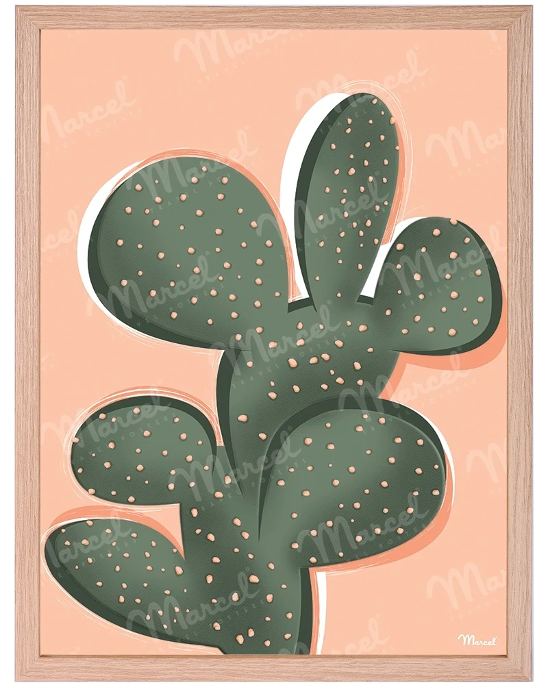 Affiche "Cactus"