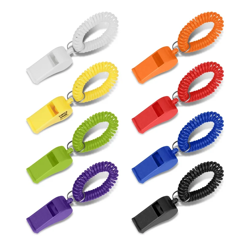 Coil Whistle
