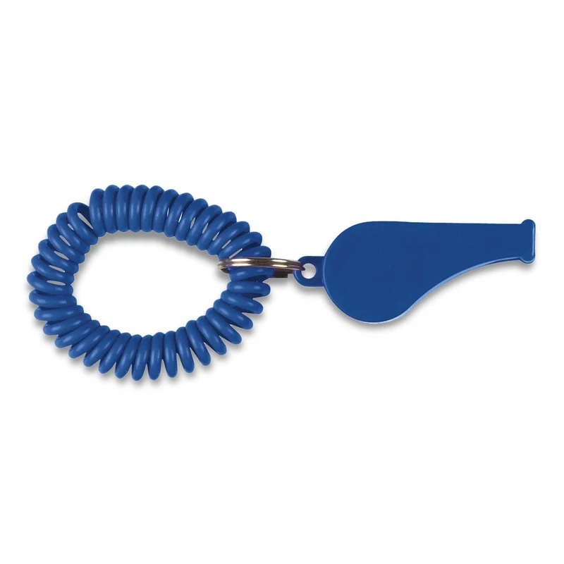 Coil Whistle