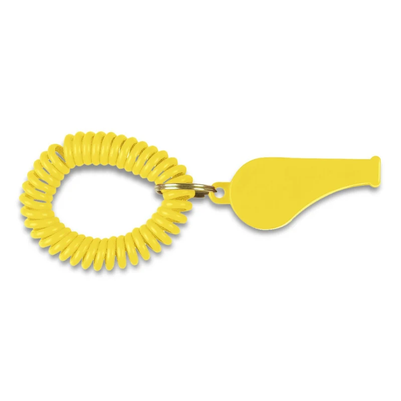 Coil Whistle