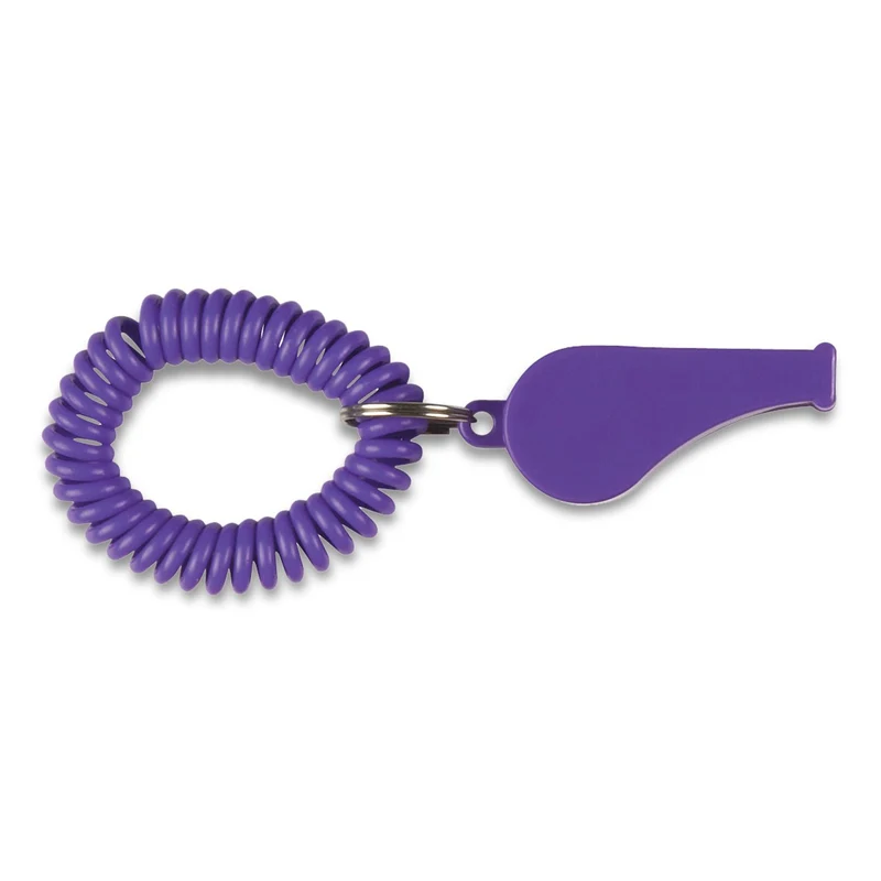 Coil Whistle