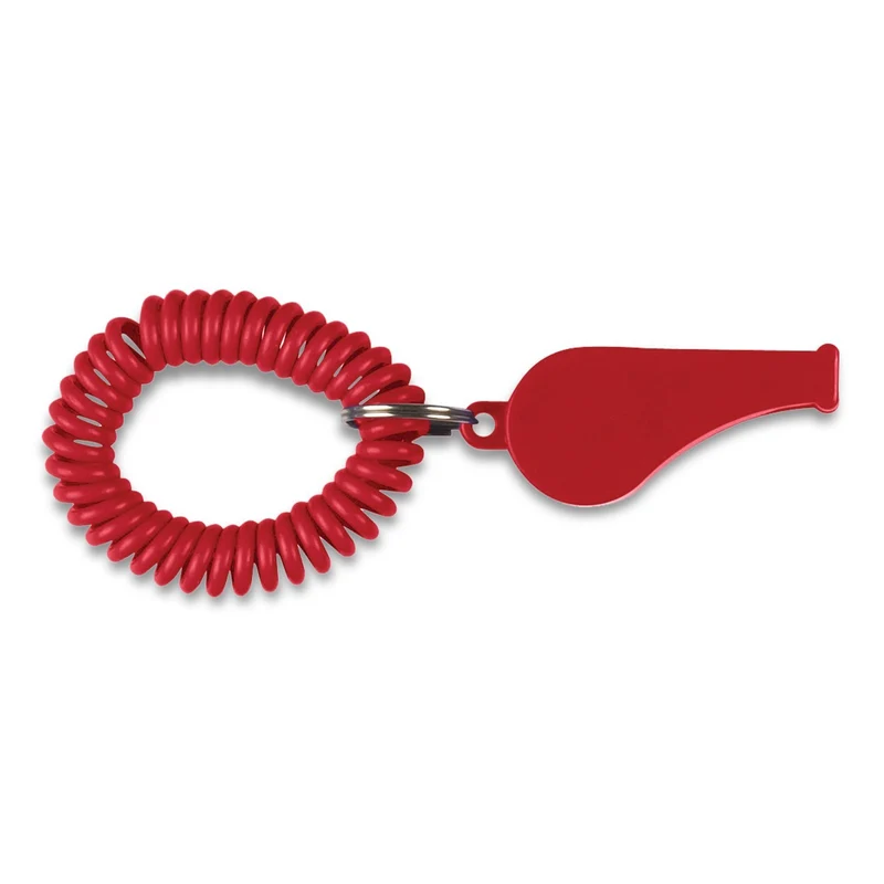 Coil Whistle
