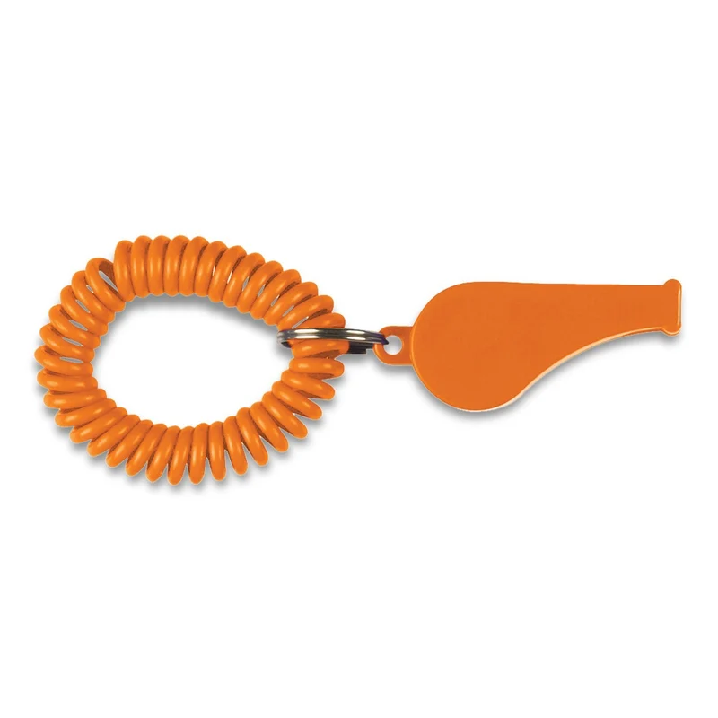 Coil Whistle