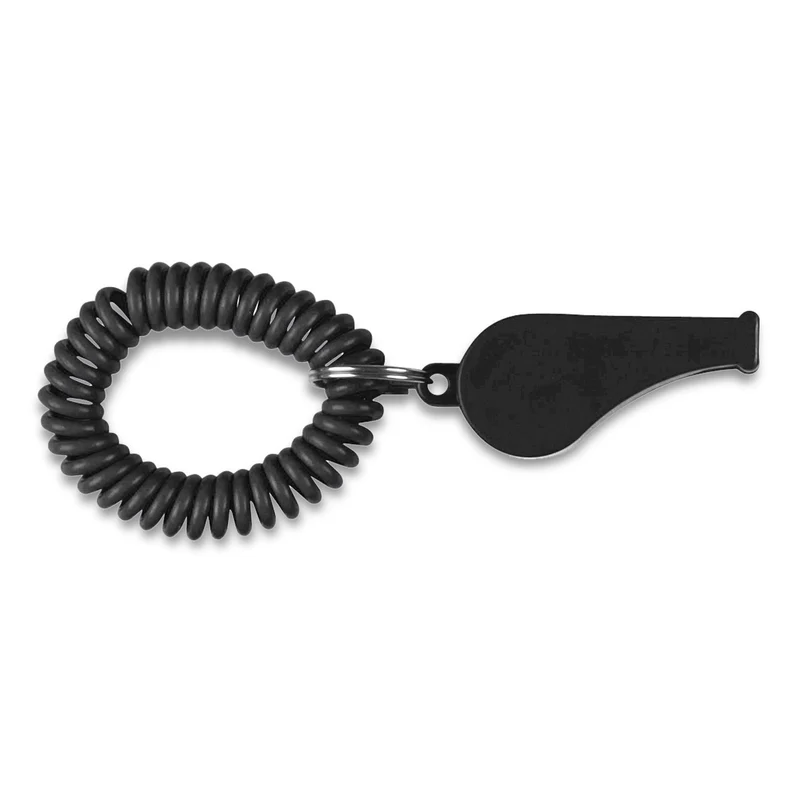 Coil Whistle