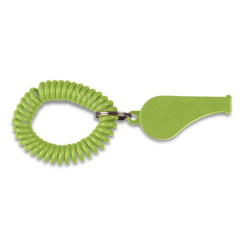 Coil Whistle