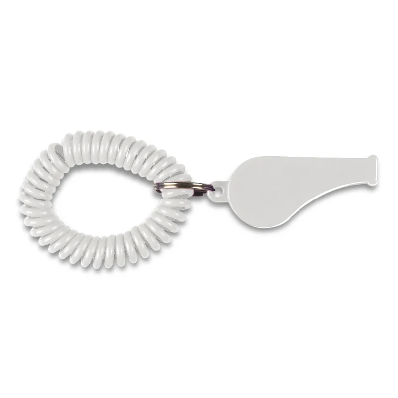 Coil Whistle