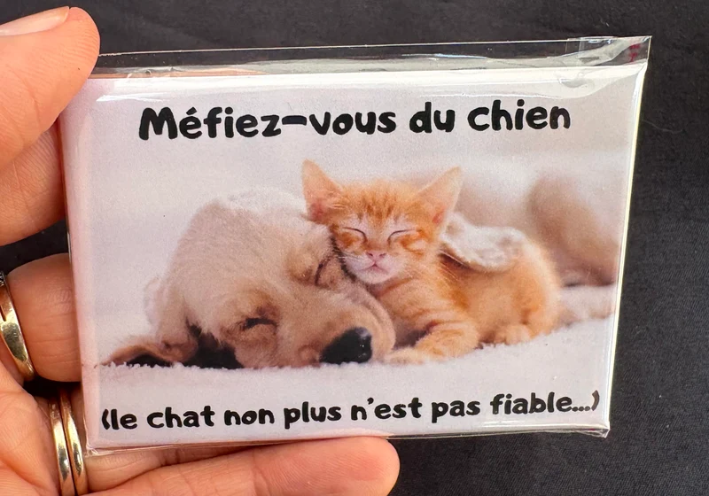 Chiens_12
