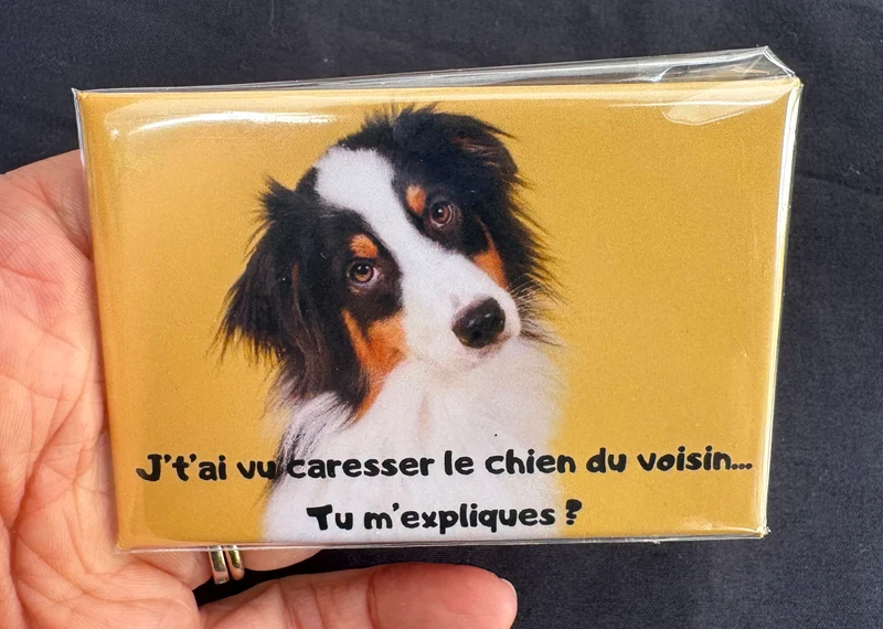 Chiens_11
