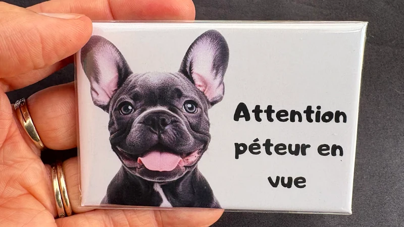 Chiens_10