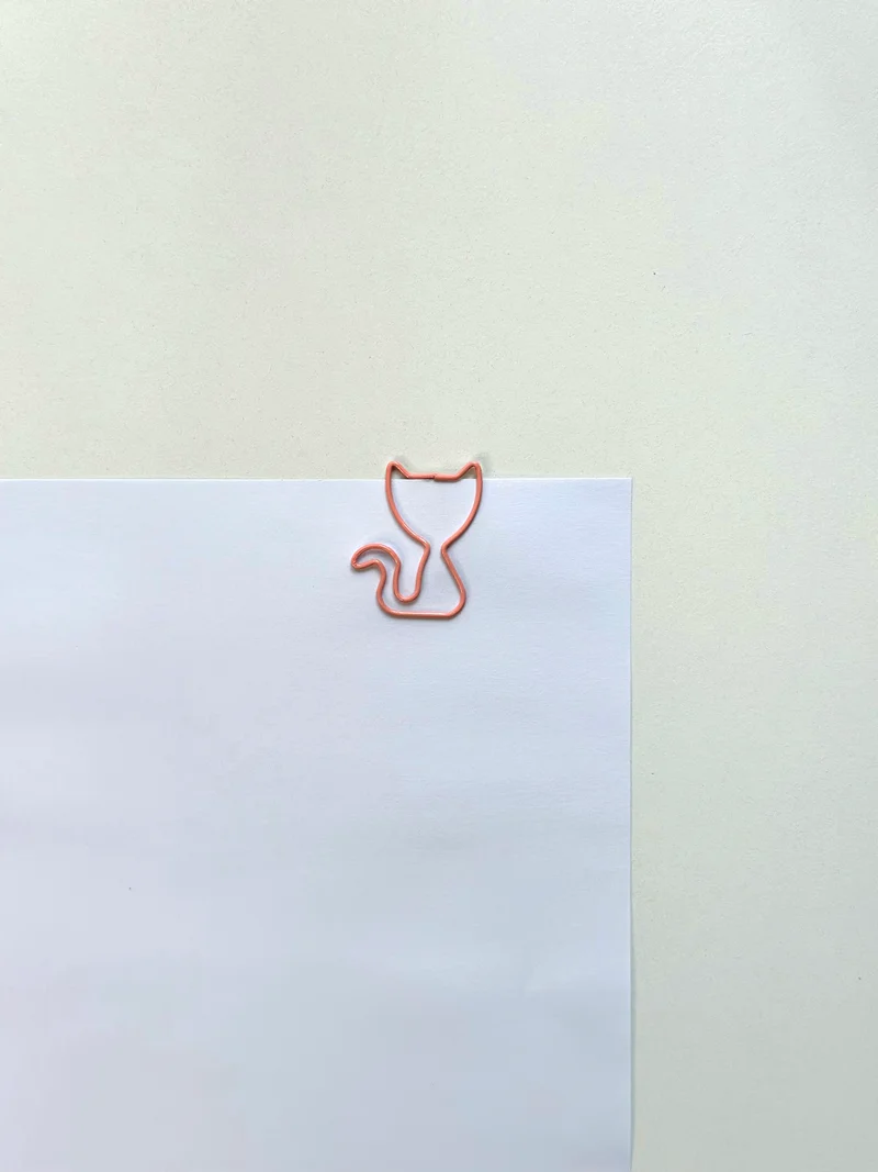 Clip ins/ Paper holder