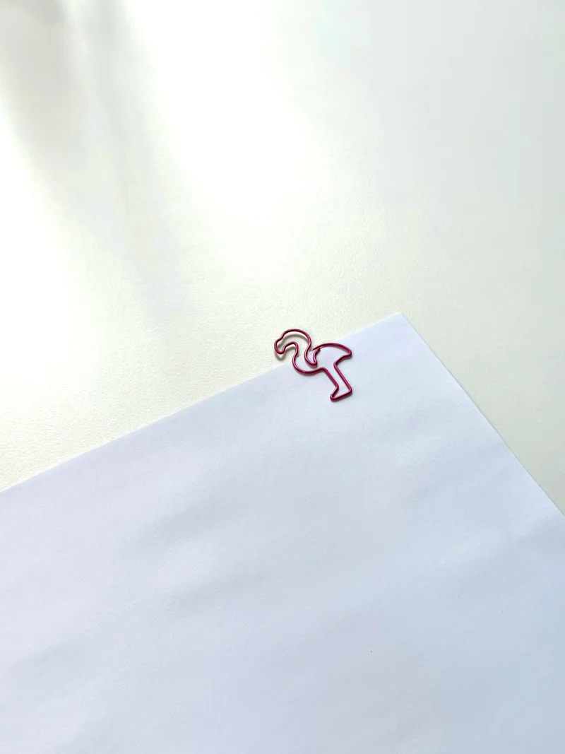 Clip ins/ Paper holder