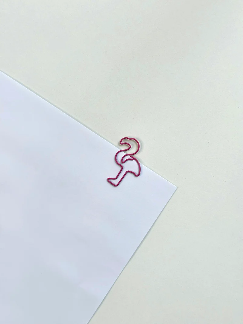 Clip ins/ Paper holder