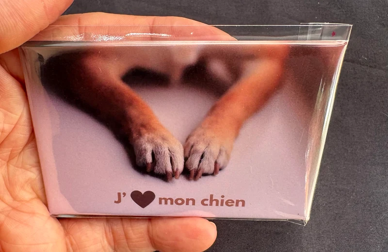 Chiens_20
