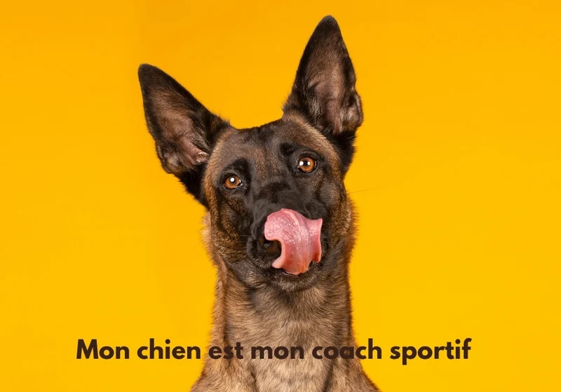 Chiens_19
