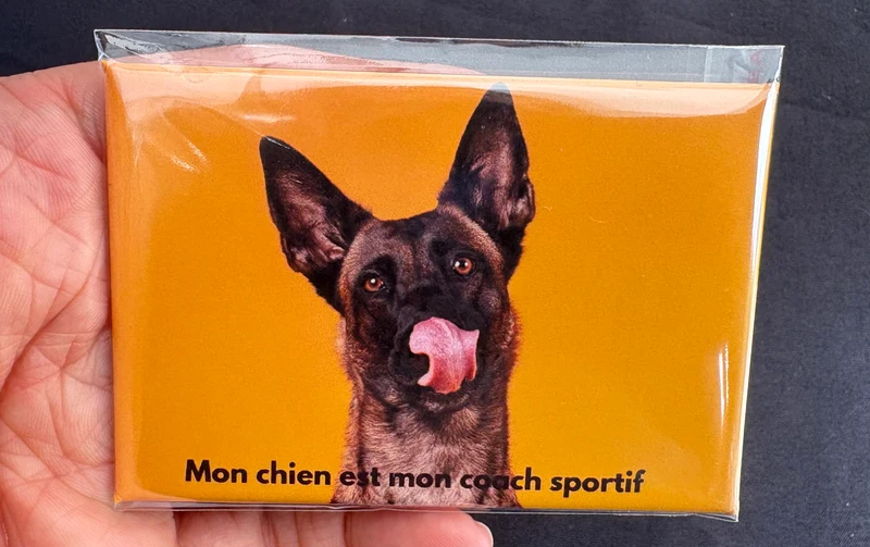 Chiens_19