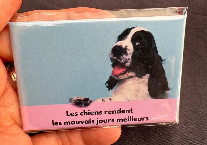 Chiens_17