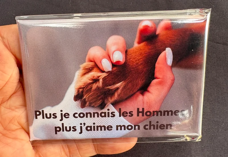 Chiens_13