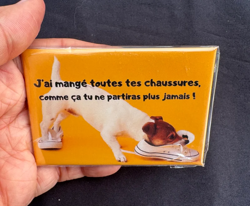 Chiens_09