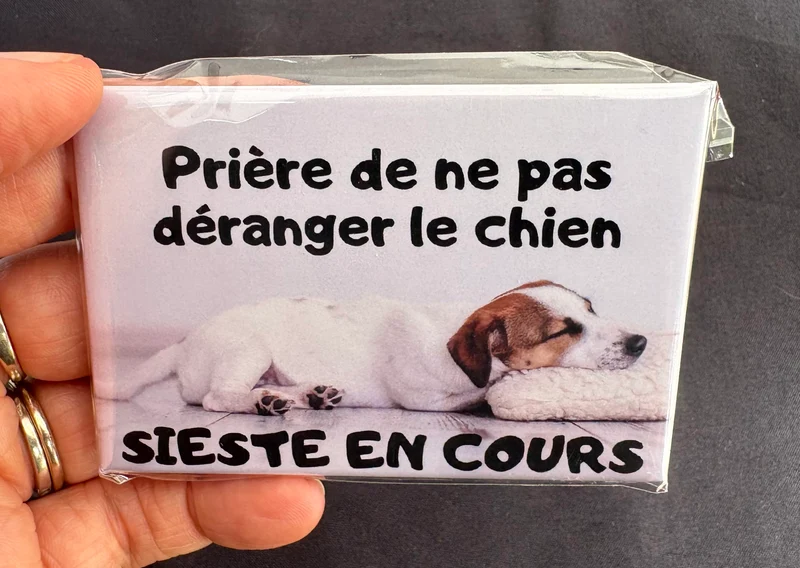 Chiens_08
