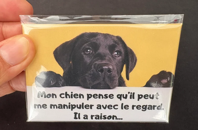 Chiens_06