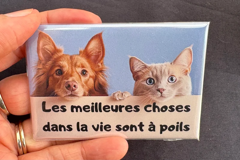 Chiens_04