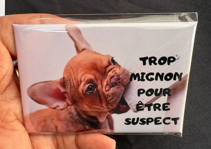 Chiens_03
