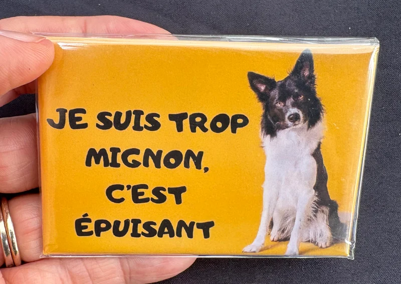 Chiens_02