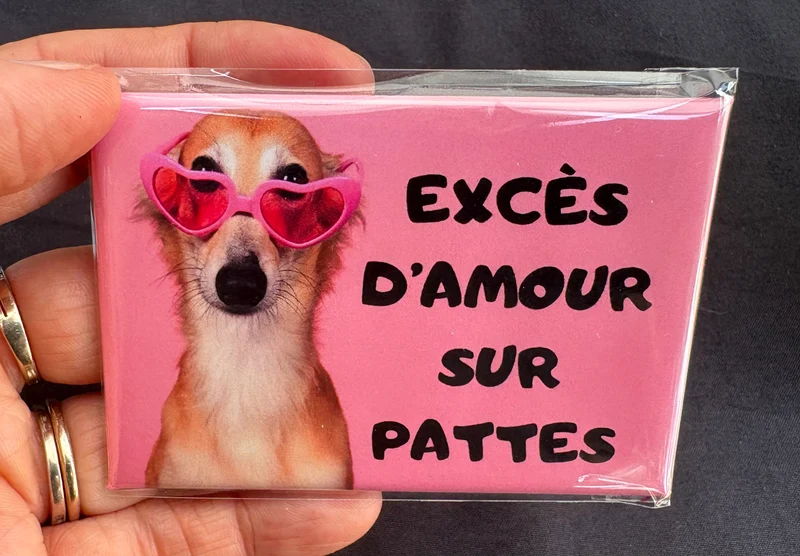 Chiens_01