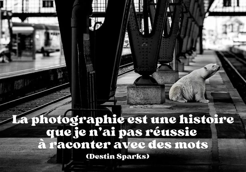 Photo_10