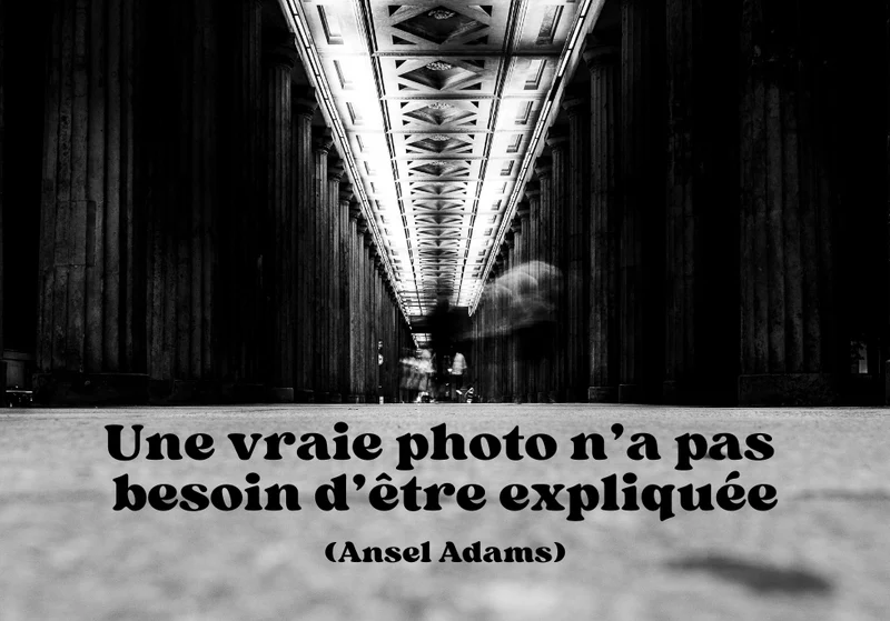 Photo_08