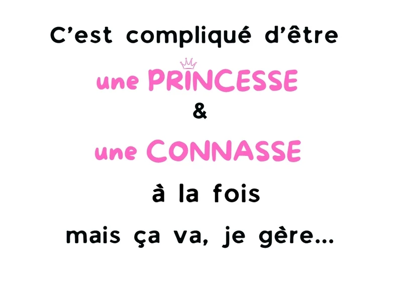 Connasse_11
