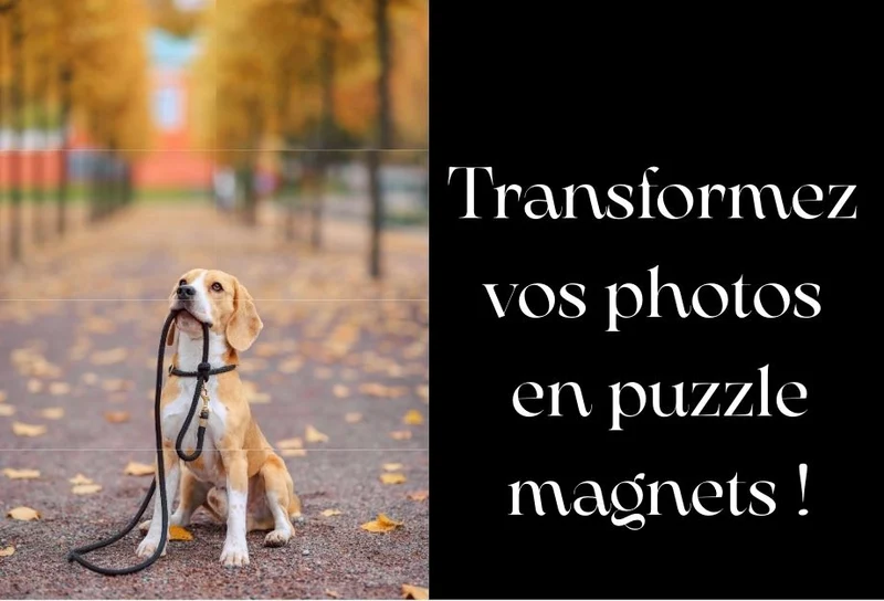 PUZZLE X 8