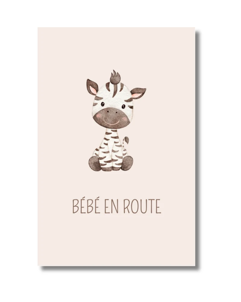 Bébé en route zèbre
