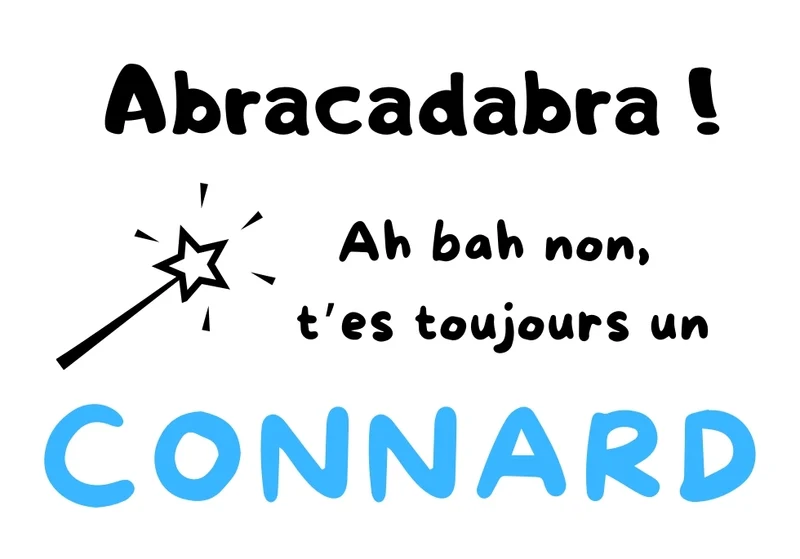 Connard_13
