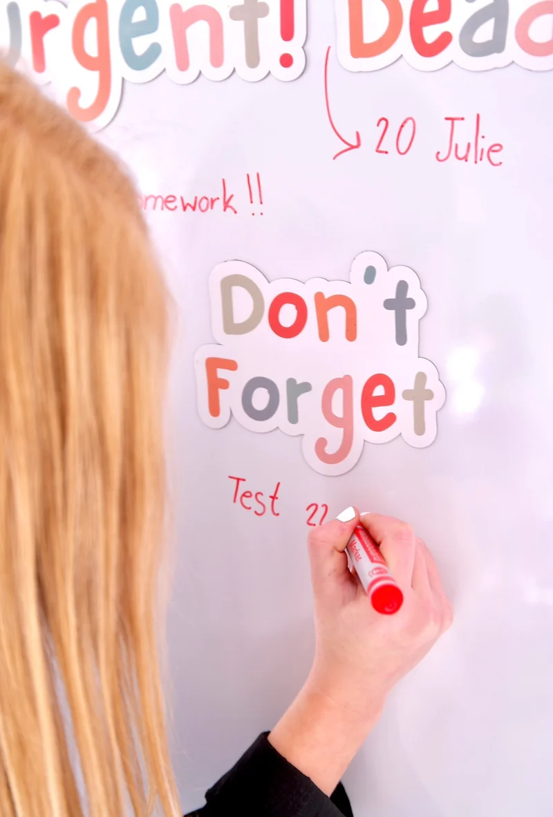Soft Pastel Reminder Magnets