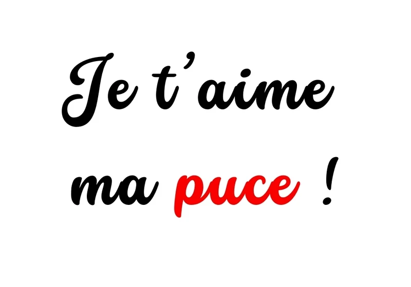 Amour_04