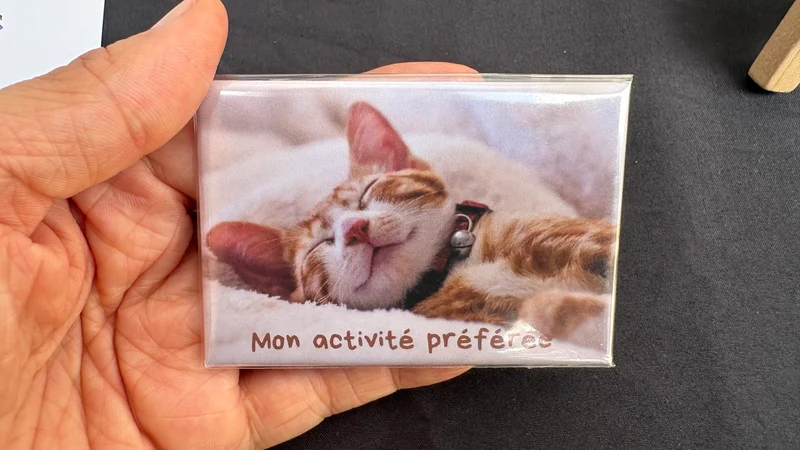 Chats_06