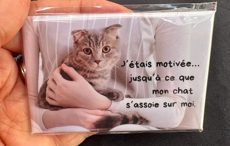 Chats_05